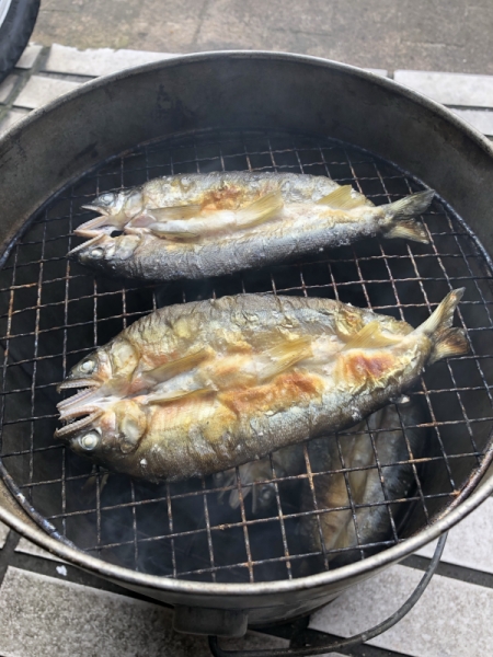 鮎スモーク
