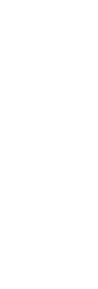 瑞々しさを重ね合わせて